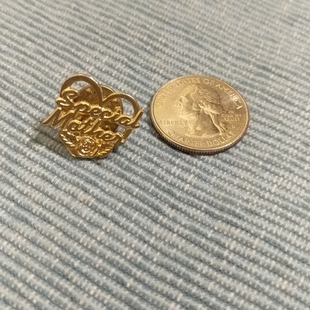 Hearth special mother brooch